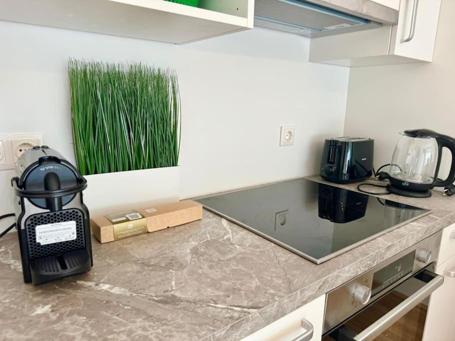 Rooftop Apartment With Balcony & Free Parking 비엔나 외부 사진